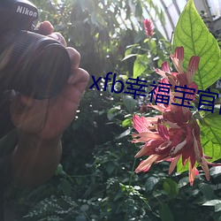 xfb幸福宝官网入口