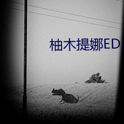 柚木(木)提(提)娜ED2K