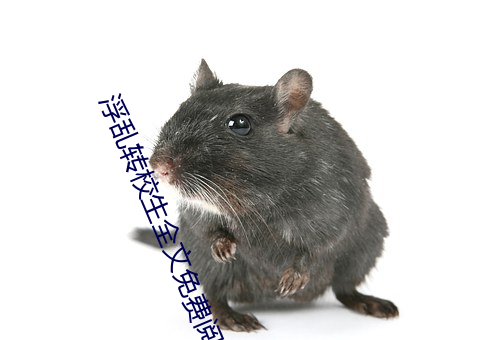 浮乱转校生全文免费阅读
