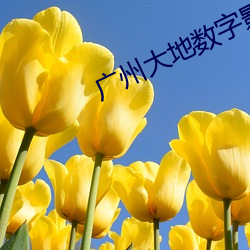 广州大地数字影院