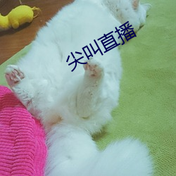 尖叫直(zhí)播