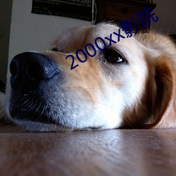 2000xxӰԺ ưߣ