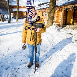 刘(liú)成刘(liú)雪