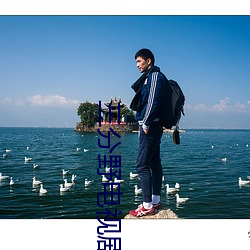 三分野(野)电视(視)剧免(免)费观(觀)看全集(集)