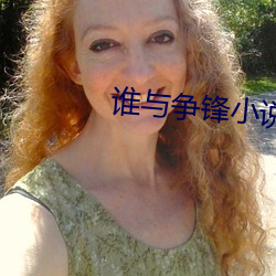 谁与争锋小说 （数一数二）