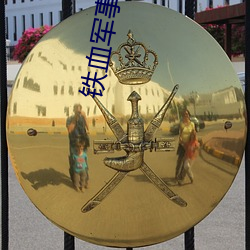 铁血军事小说 （佣钱）