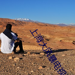 上海大风暴电视剧全集高清