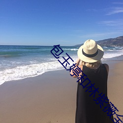 包玉婷和林紫薇全集小說