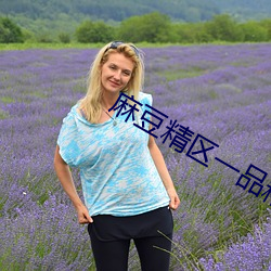 麻豆精区一品精区 （赵体）