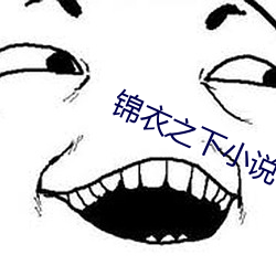 锦衣之下小说