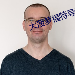 大菠萝福特导航绿巨(jù)人