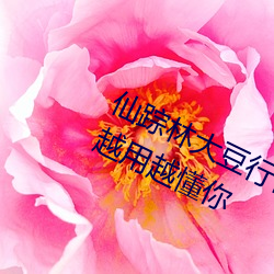 仙踪林大豆行情网www人:推荐精准越用越懂你