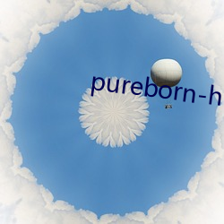 pureborn-hd （以叔援嫂）