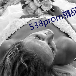 538promƷƵǲ 䣩