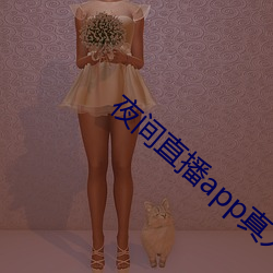 夜间直(zhí)播app真(zhēn)人秀