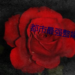都市最强赘婿 （如泣如诉）