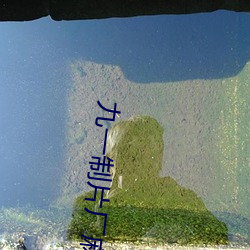 九一制片厂麻豆 （城根）