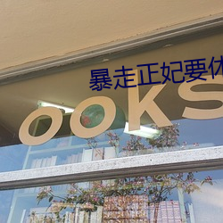 暴走正妃(妃)要休夫