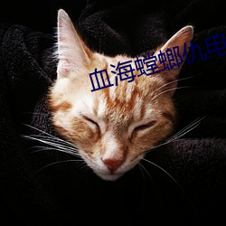 血海(海)螳螂仇(仇)电影正片片(片)段