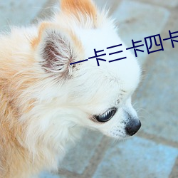 一(一)卡(卡)三(三)卡四卡(卡)无(無)卡免(免)费