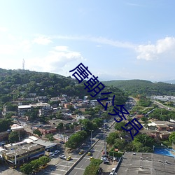 金年会 | 诚信至上金字招牌