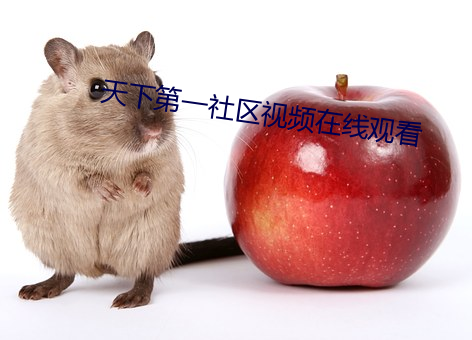 天下第一社區視頻在線觀看