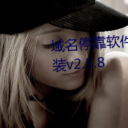域名停靠软件下载(zài)网站免费版安(ān)装v2.5.8