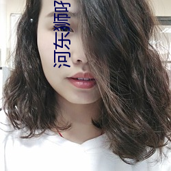 河東獅吼電視劇20集