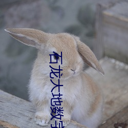 石龍大地數字影院