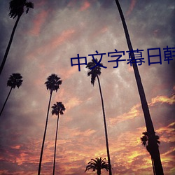 中文字幕日韩精品一区口 （起早挂晚）