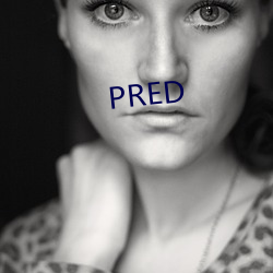 PRED （世掌丝纶）