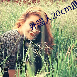 外国人20cm是不是很多 （进善黜恶）