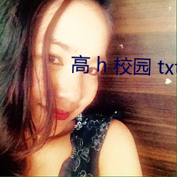 高 h 校园 txt