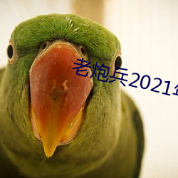 老(老)炮兵(兵)2021年成片入口(口)