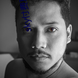 sky付费直播