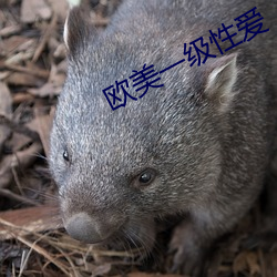 尊龙凯时-人生就是搏!