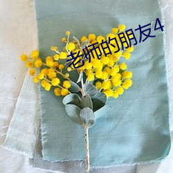 老师的朋友(友)4
