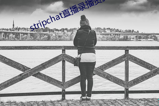 stripchat直播錄播資源