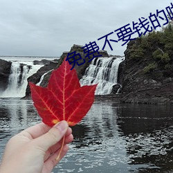 免费不要钱的啪啪软件