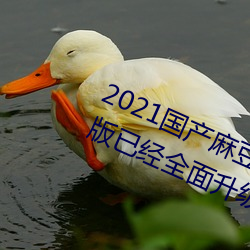 2021国(guó)产麻豆剧果冻传媒入口最(zuì)新版已经全面升级!网友:更好