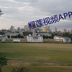 榴莲视频APP污成人版