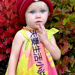 夫妻生活(huó)小说(shuō)