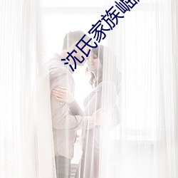 沈氏家(jiā)族崛起