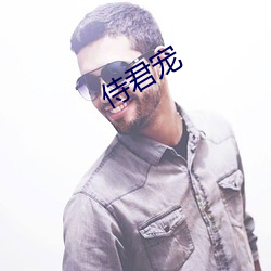 侍(shì)君宠