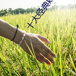 十大(dà)经典k线理论(lùn)