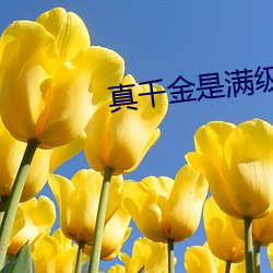 真(zhēn)千(qiān)金(jīn)是满(mǎn)级天师(shī)