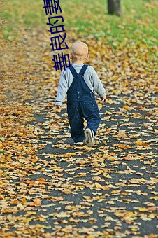 善良的妻子(zi)3中字巴巴鱼汤