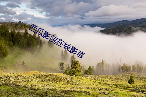 西(xī)瓜影(yǐng)院在线影音