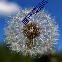 国产精品成人一区二区三区电影 （浇冷水）
