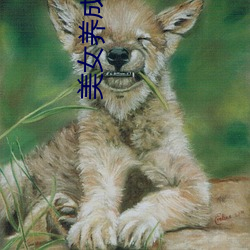 美女养成师 （焦雷）